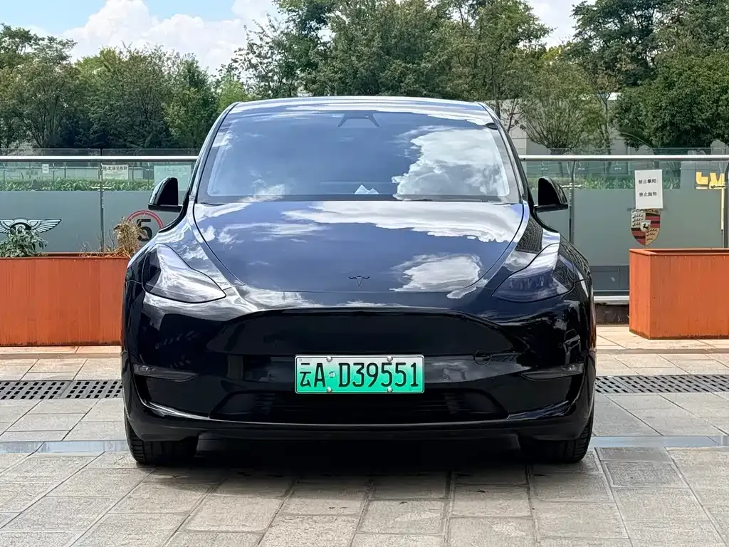 Tesla Model Y — фото 9