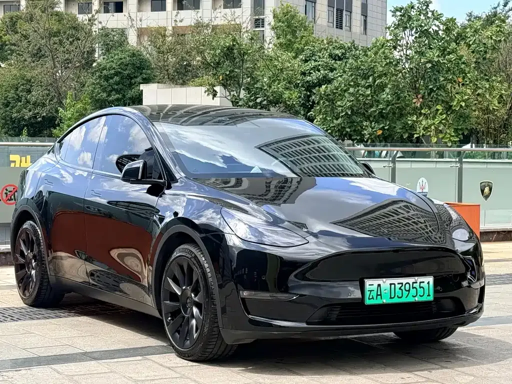 Tesla Model Y — фото 8