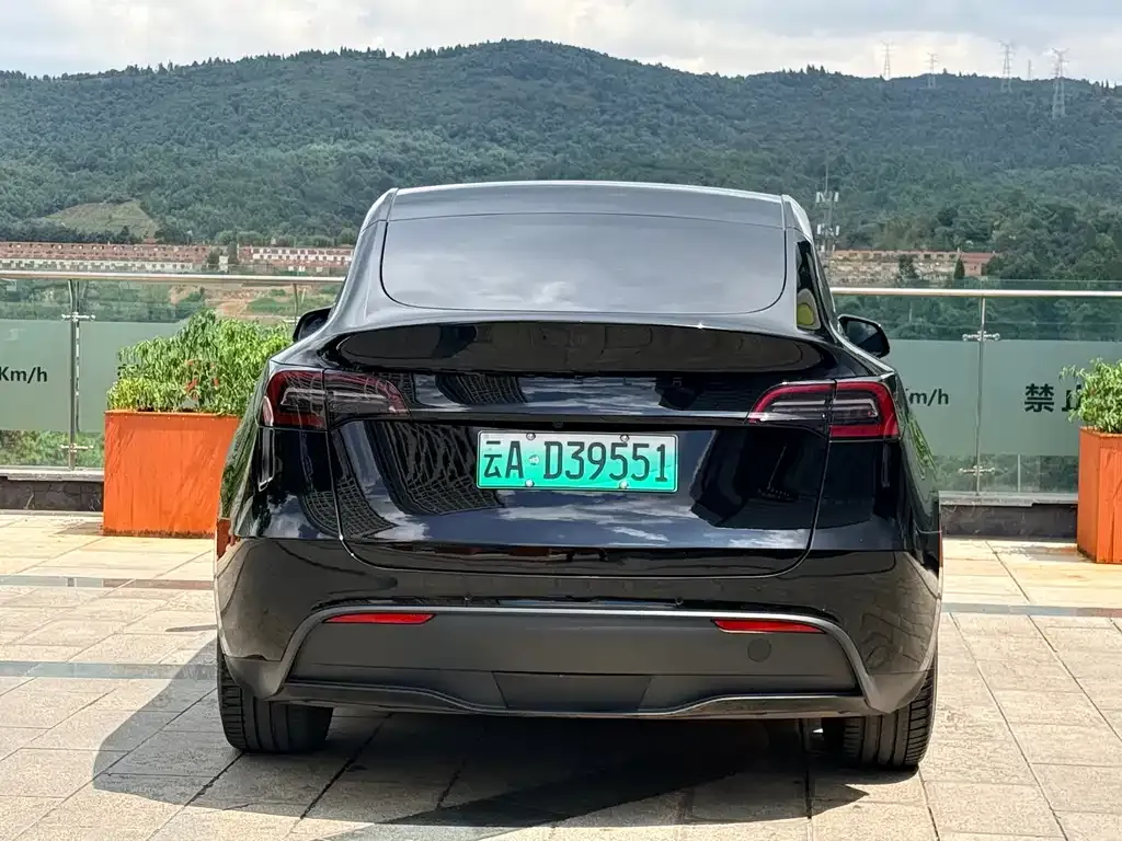 Tesla Model Y — фото 7
