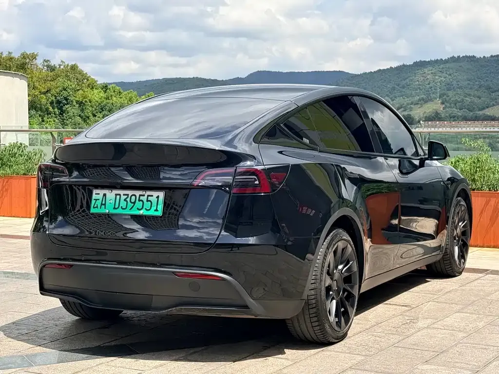 Tesla Model Y — фото 4