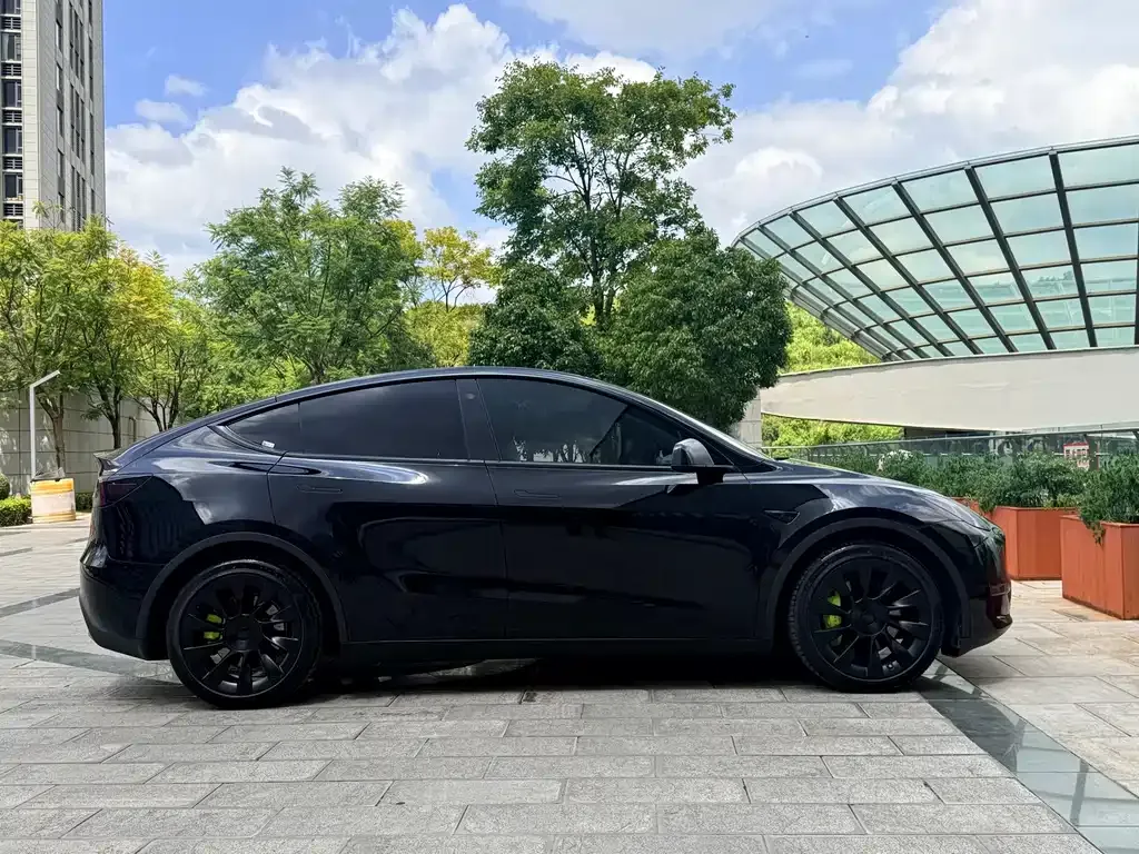 Tesla Model Y — фото 5