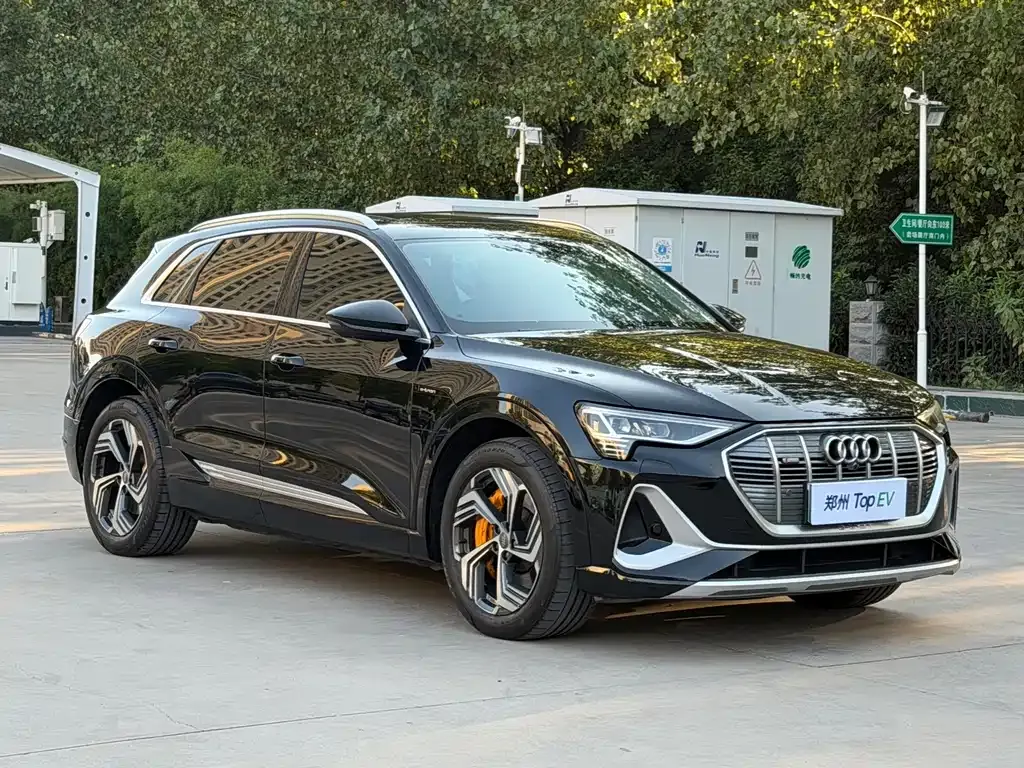 Audi e-tron — фото 5