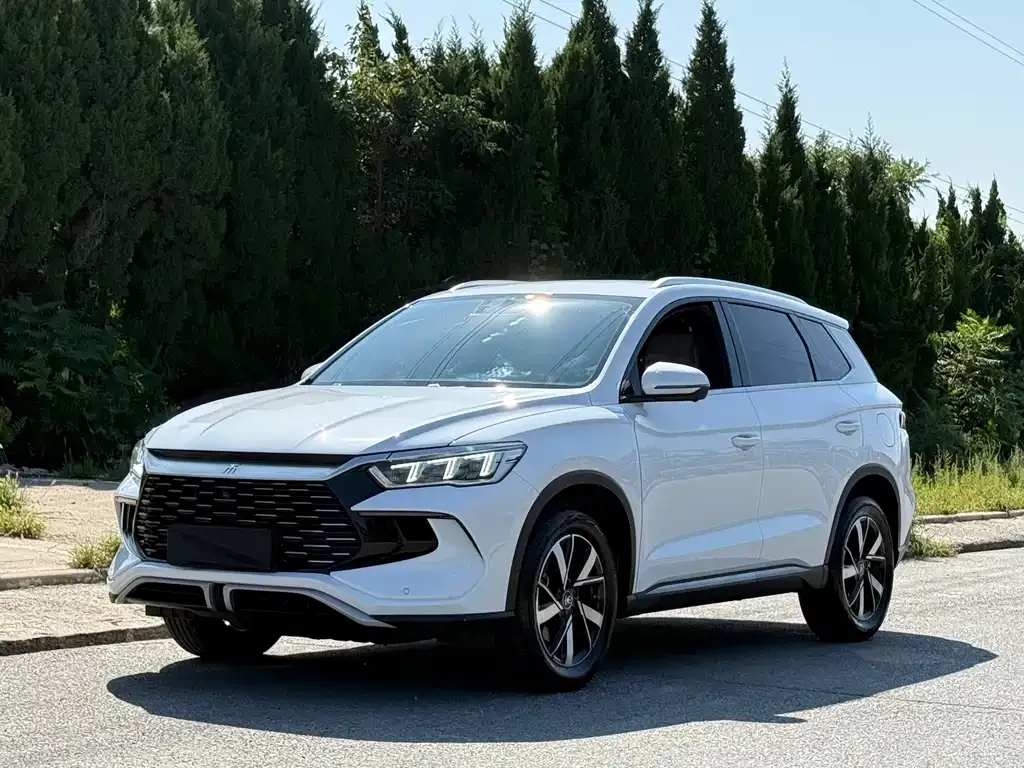 BYD Pro New Energy — фото 1