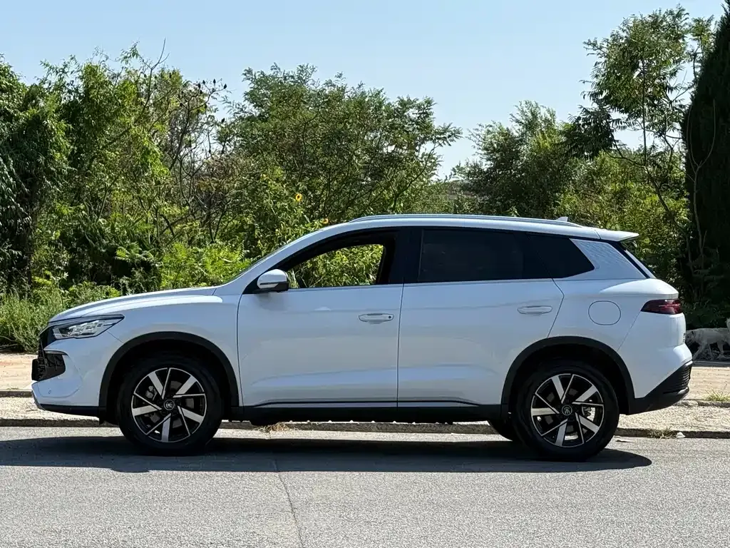 BYD Pro New Energy — фото 9