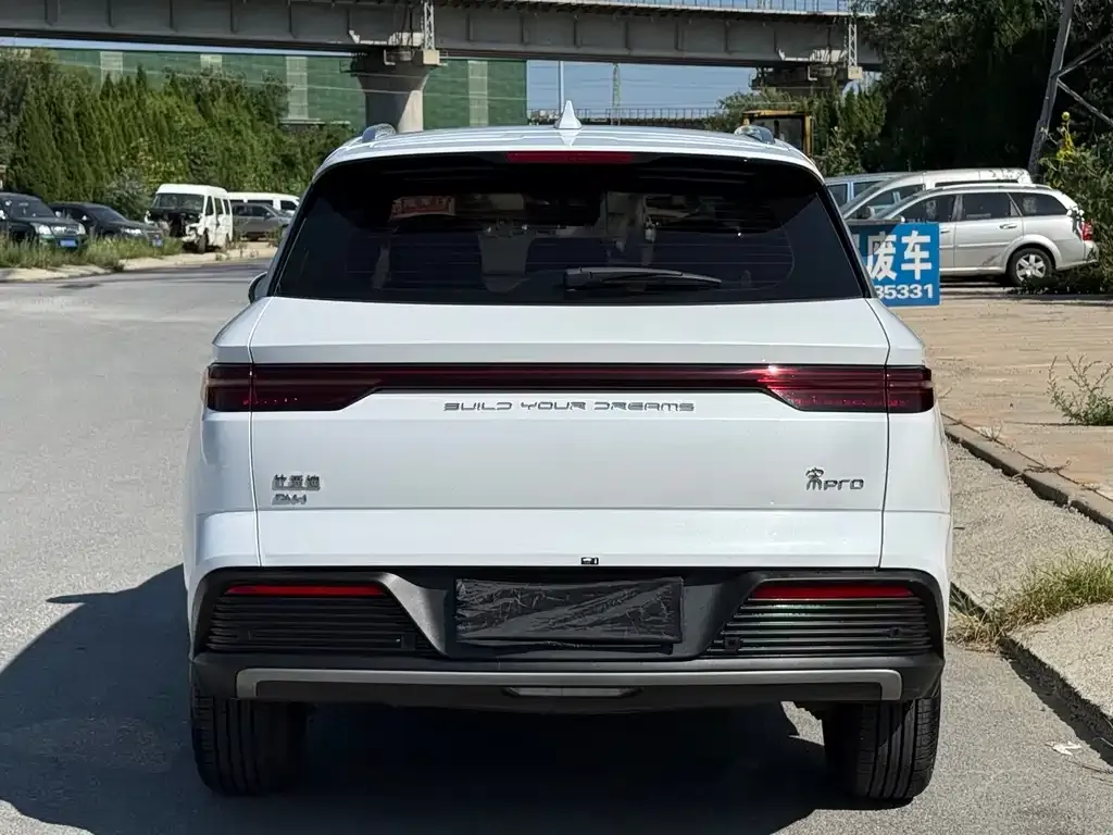 BYD Pro New Energy — фото 4