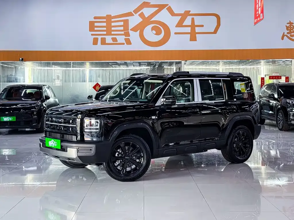 Haval Menglong New Energy — фото 1