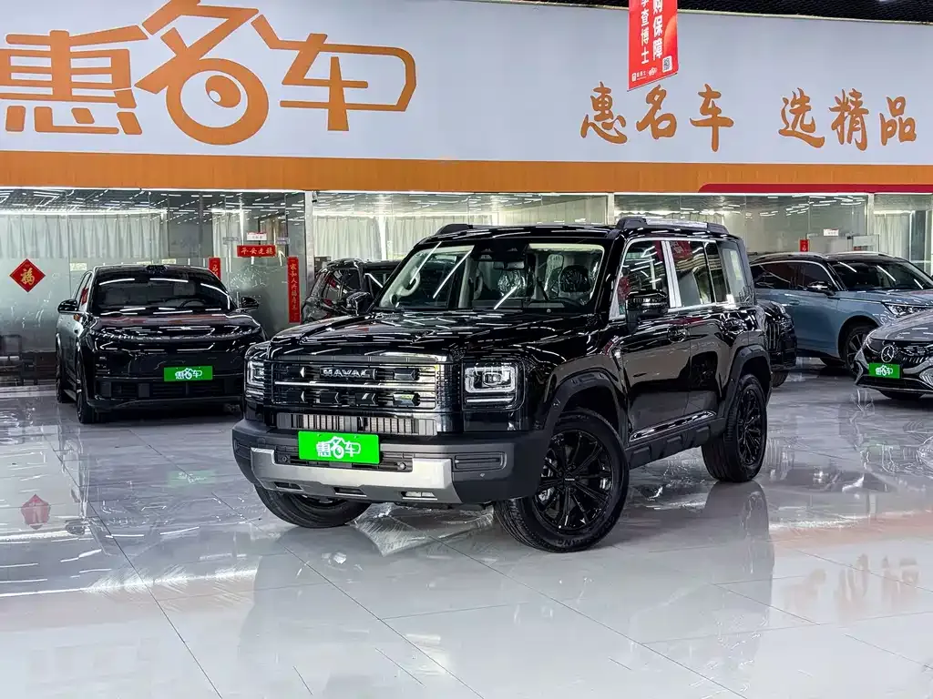 Haval Menglong New Energy — фото 9