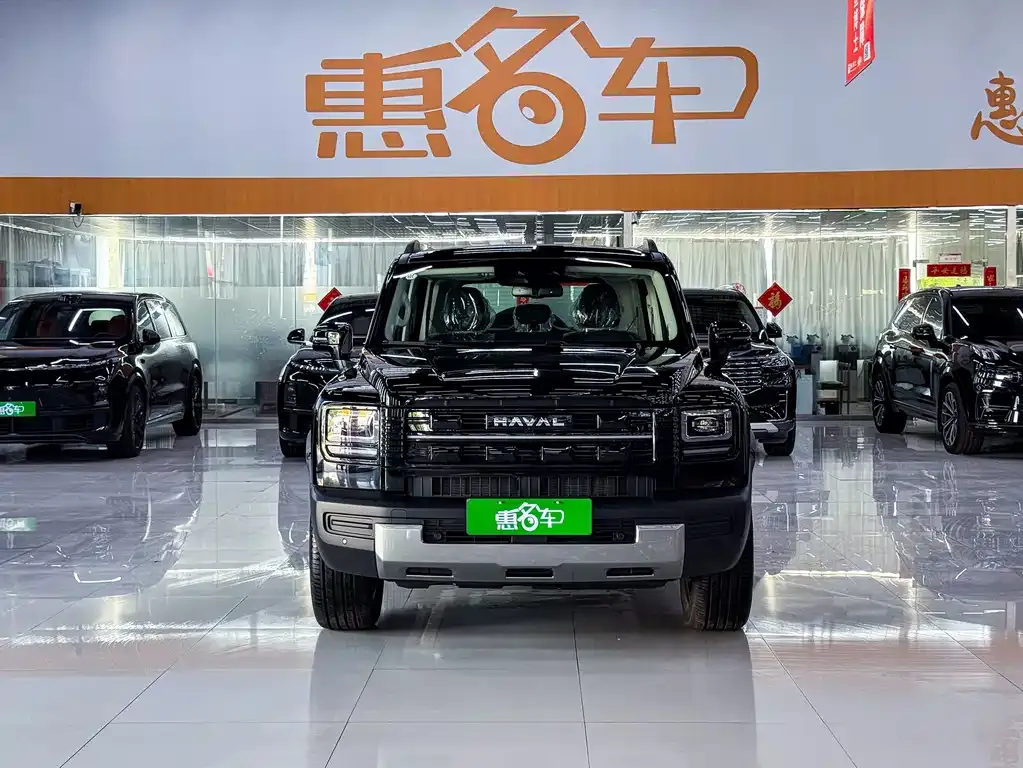 Haval Menglong New Energy — фото 6