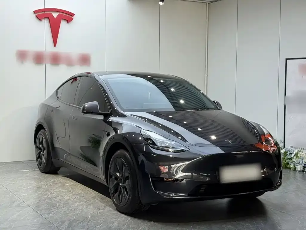 Tesla Model Y — фото 6