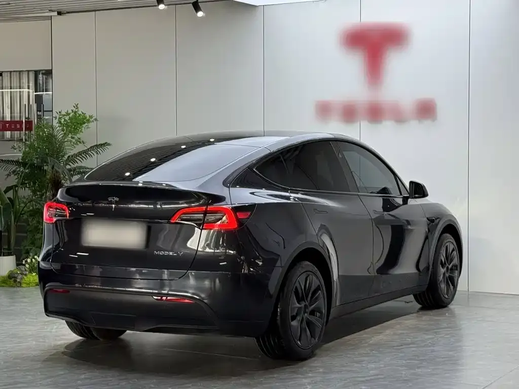 Tesla Model Y — фото 8