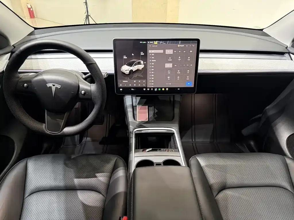 Tesla Model Y — фото 8