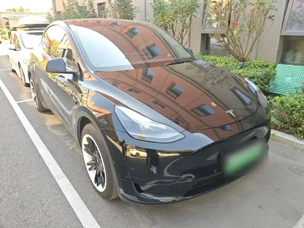 Tesla Model Y — фото 8