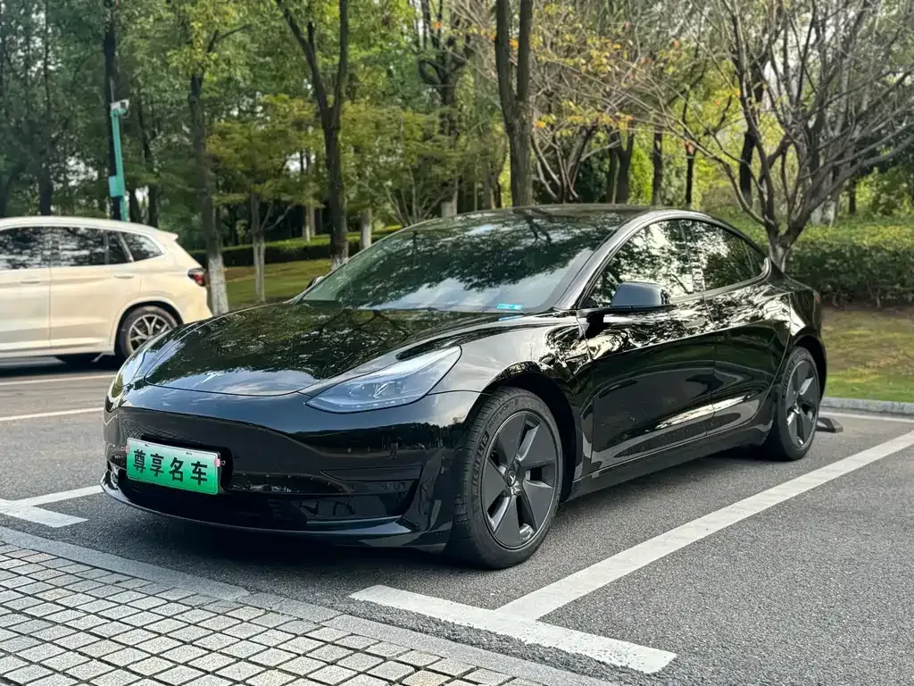 Tesla Model 3 — фото 1