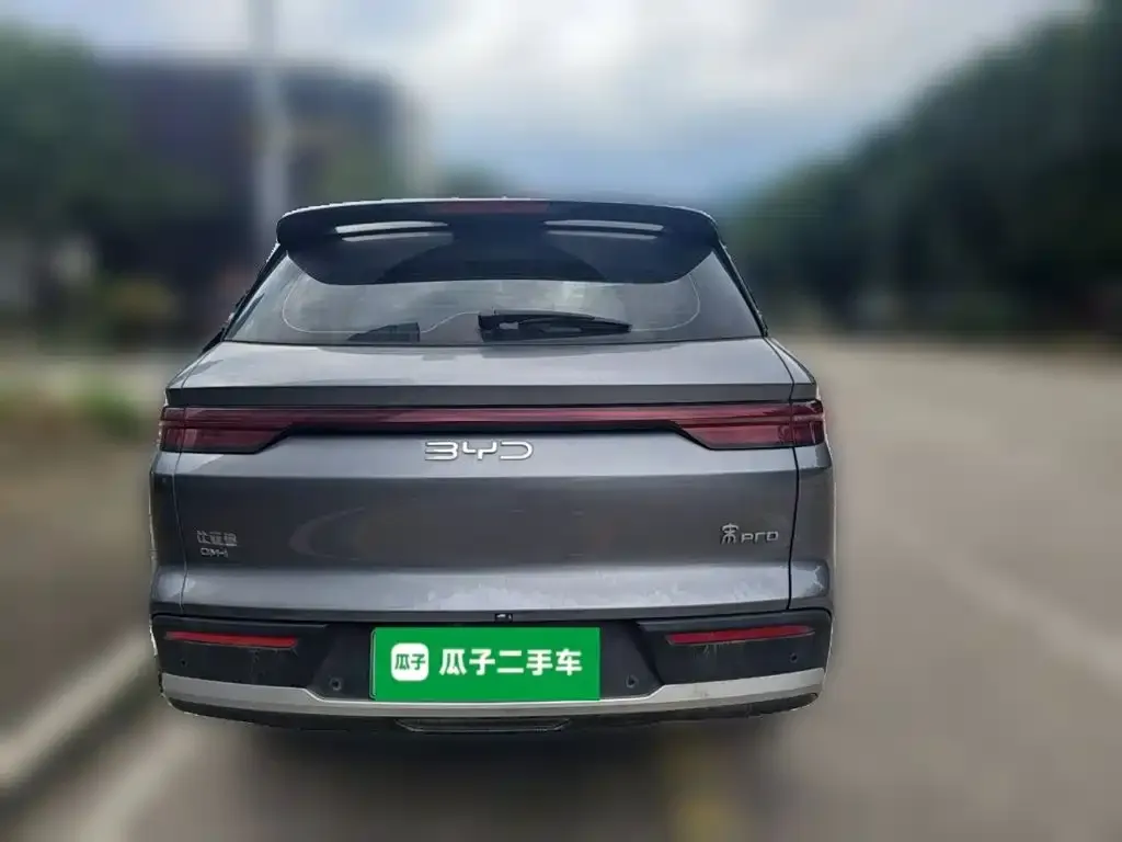 BYD Pro New Energy — фото 4