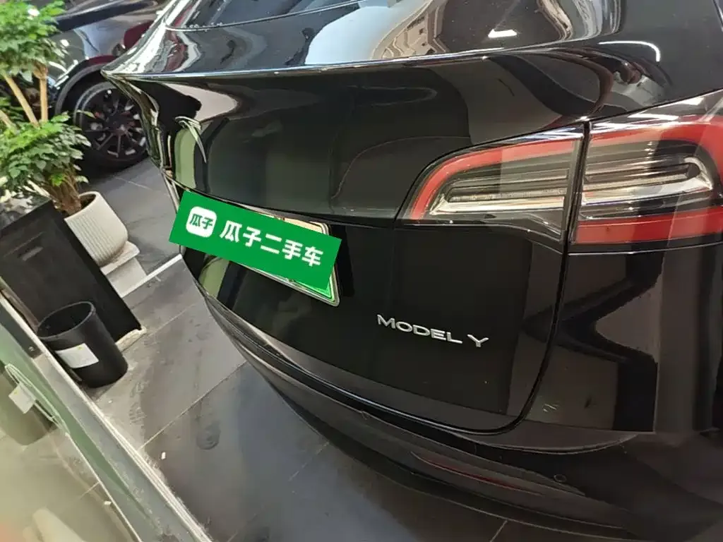 Tesla Model Y — фото 2