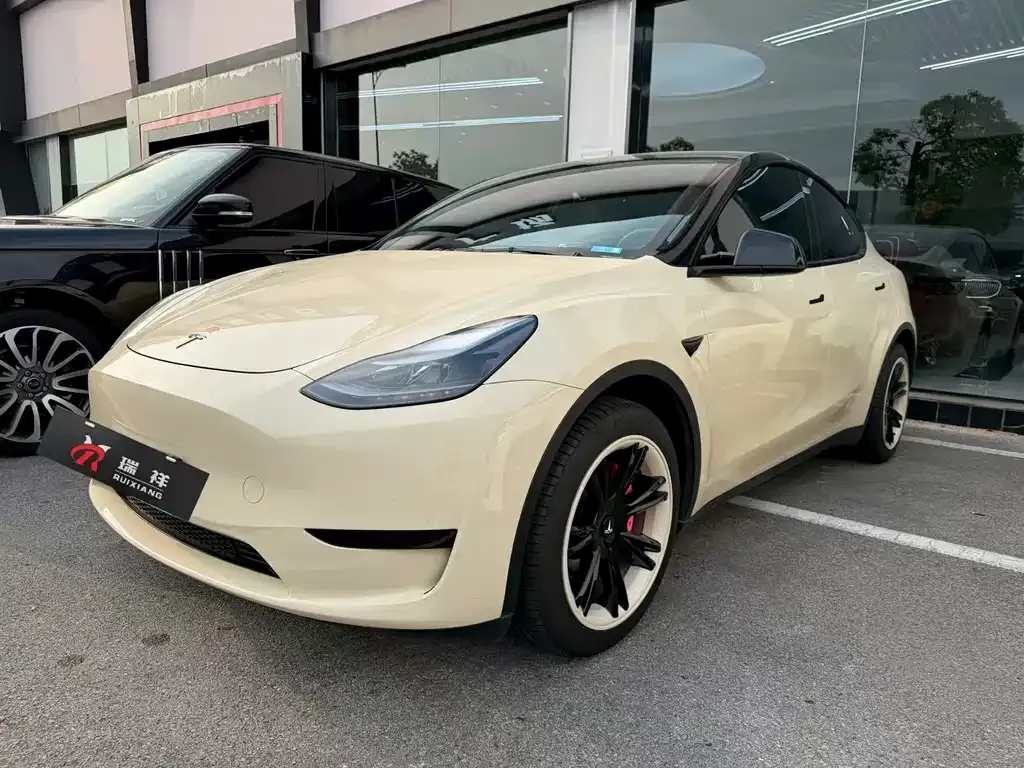 Tesla Model Y — фото 1