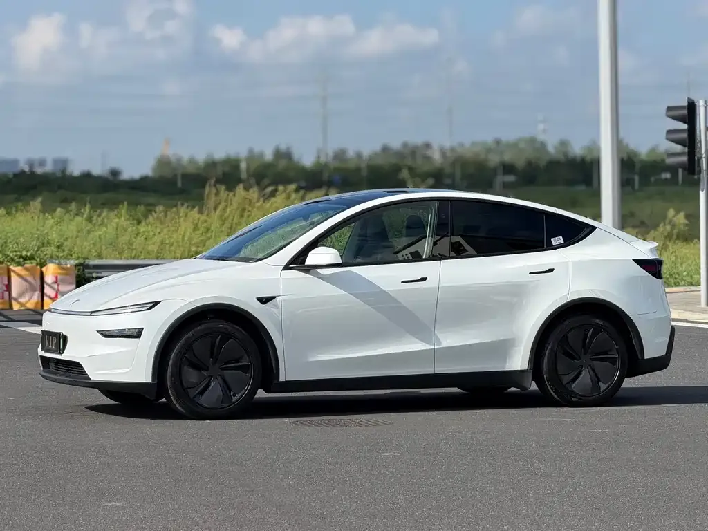 Tesla Model Y — фото 5
