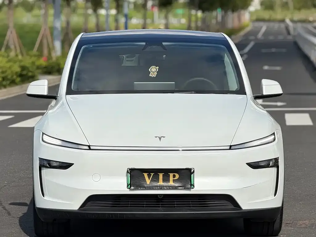 Tesla Model Y — фото 2