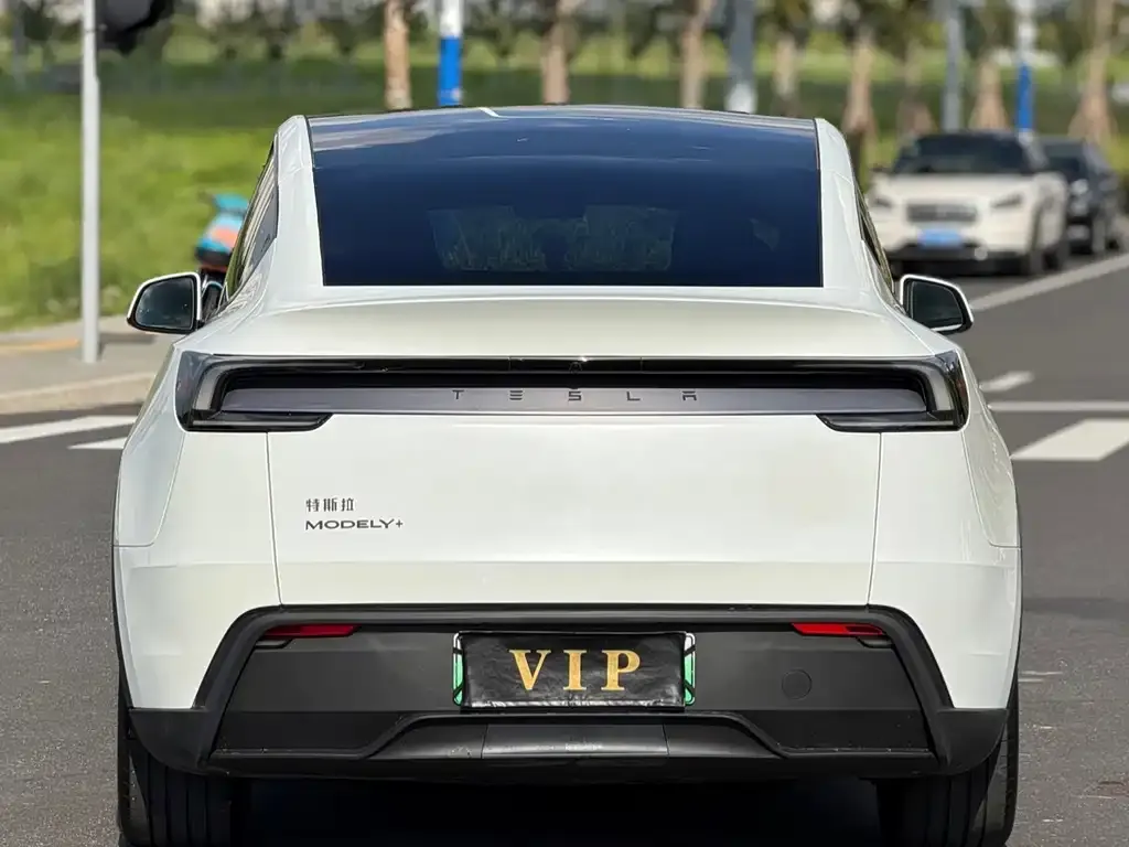 Tesla Model Y — фото 3