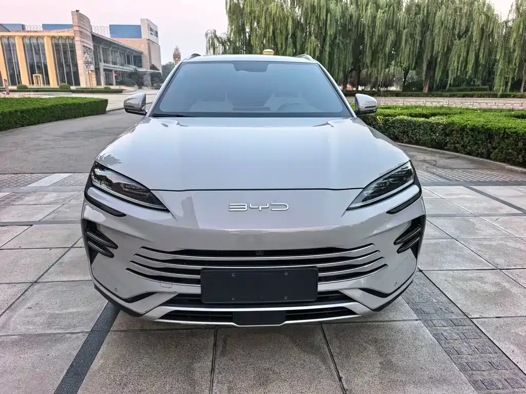 BYD PLUS New Energy — фото 1