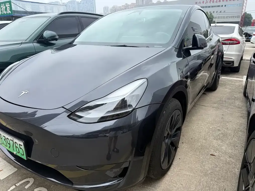 Tesla Model Y — фото 6