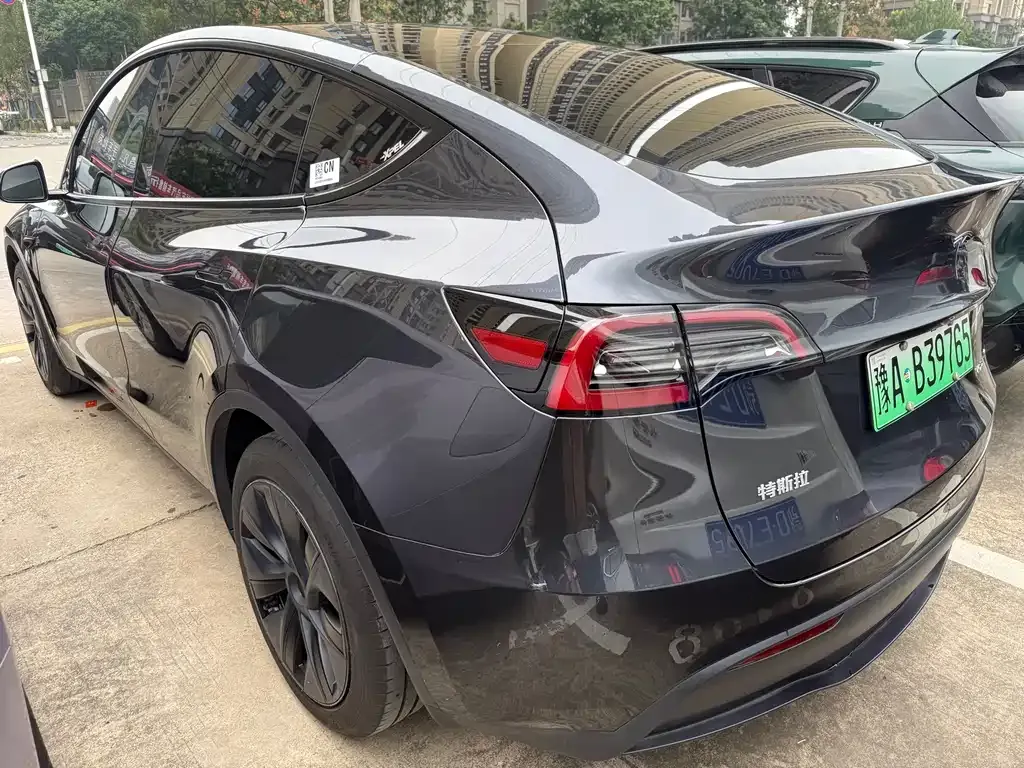 Tesla Model Y — фото 9