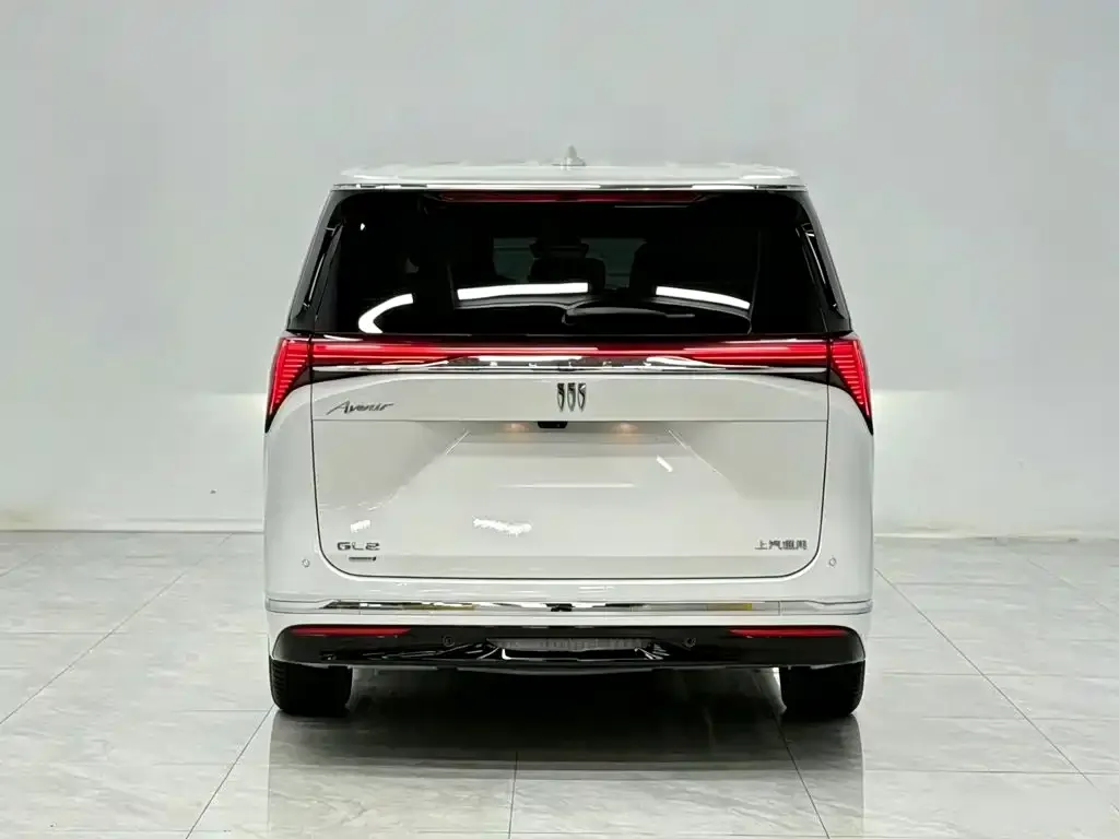 Buick GL8 Hybrid — фото 2