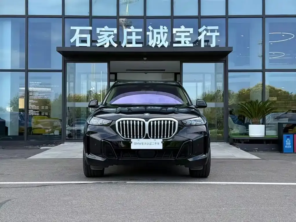 BMW X5 — фото 4
