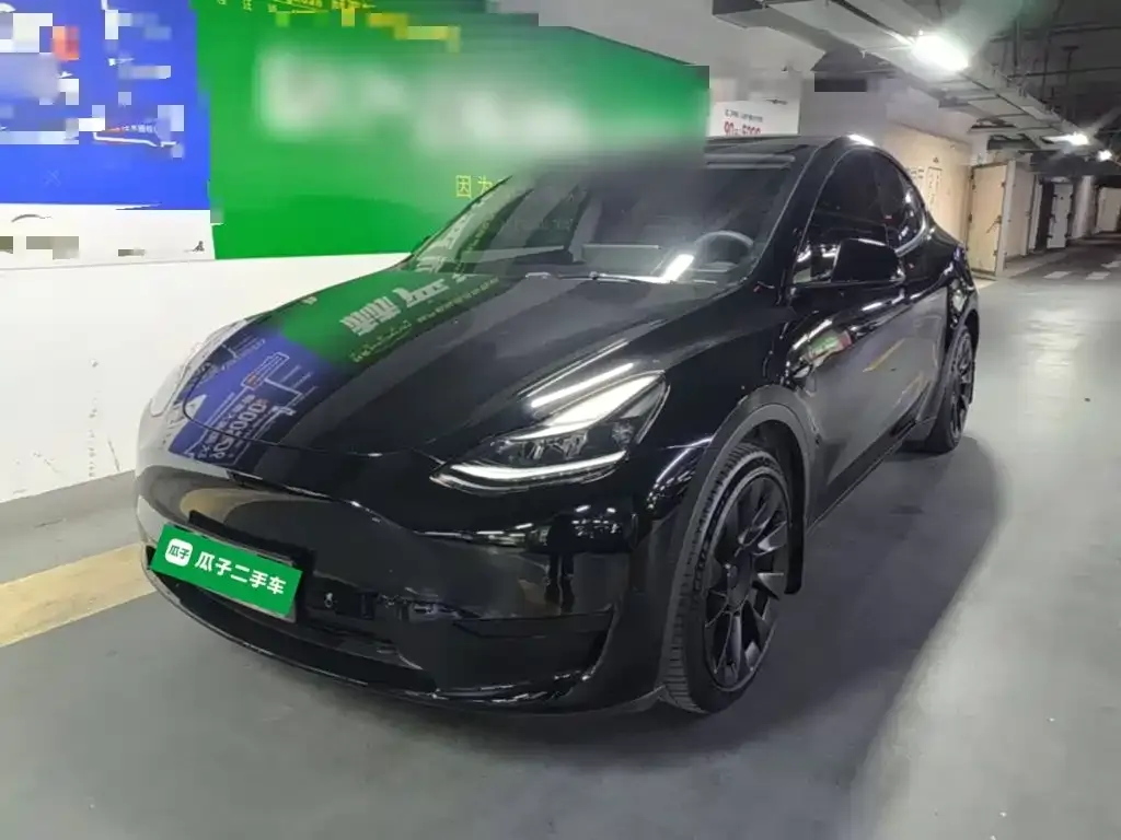 Tesla Model Y — фото 9