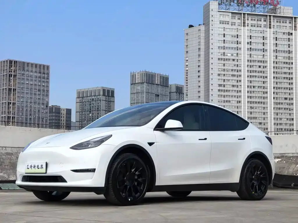 Tesla Model Y — фото 1