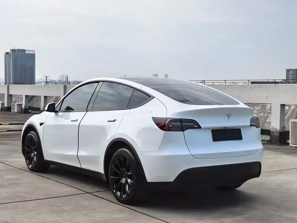 Tesla Model Y — фото 2