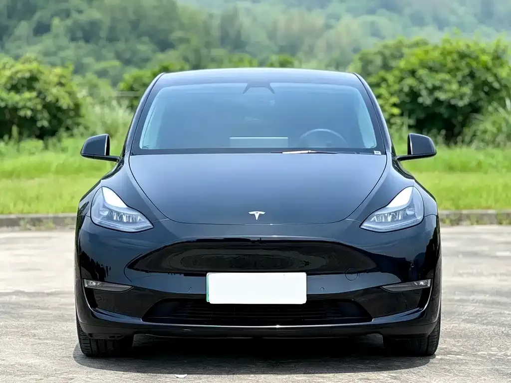 Tesla Model Y — фото 10