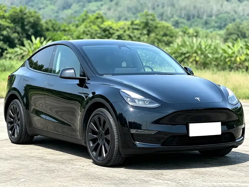 Tesla Model Y — фото 2