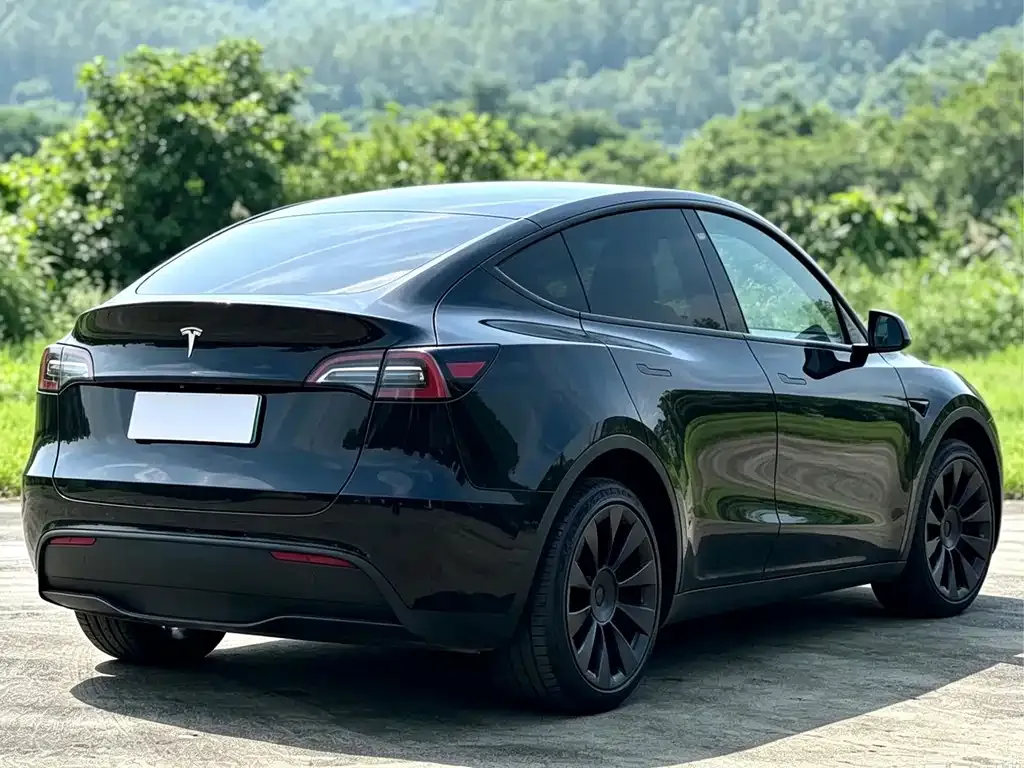Tesla Model Y — фото 8