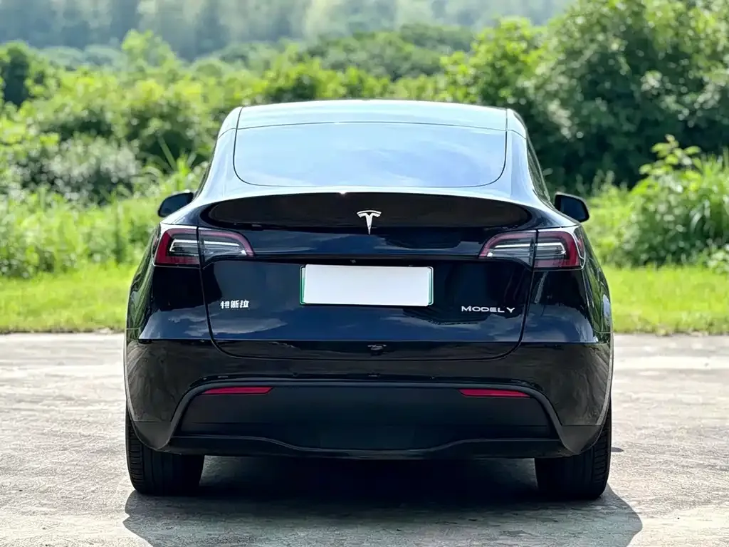 Tesla Model Y — фото 5