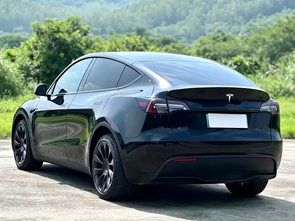Tesla Model Y — фото 9