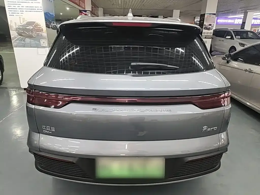 BYD Pro New Energy — фото 3