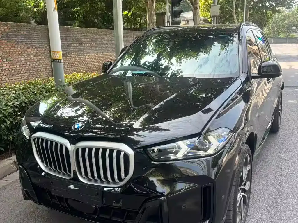 BMW X5 — фото 1