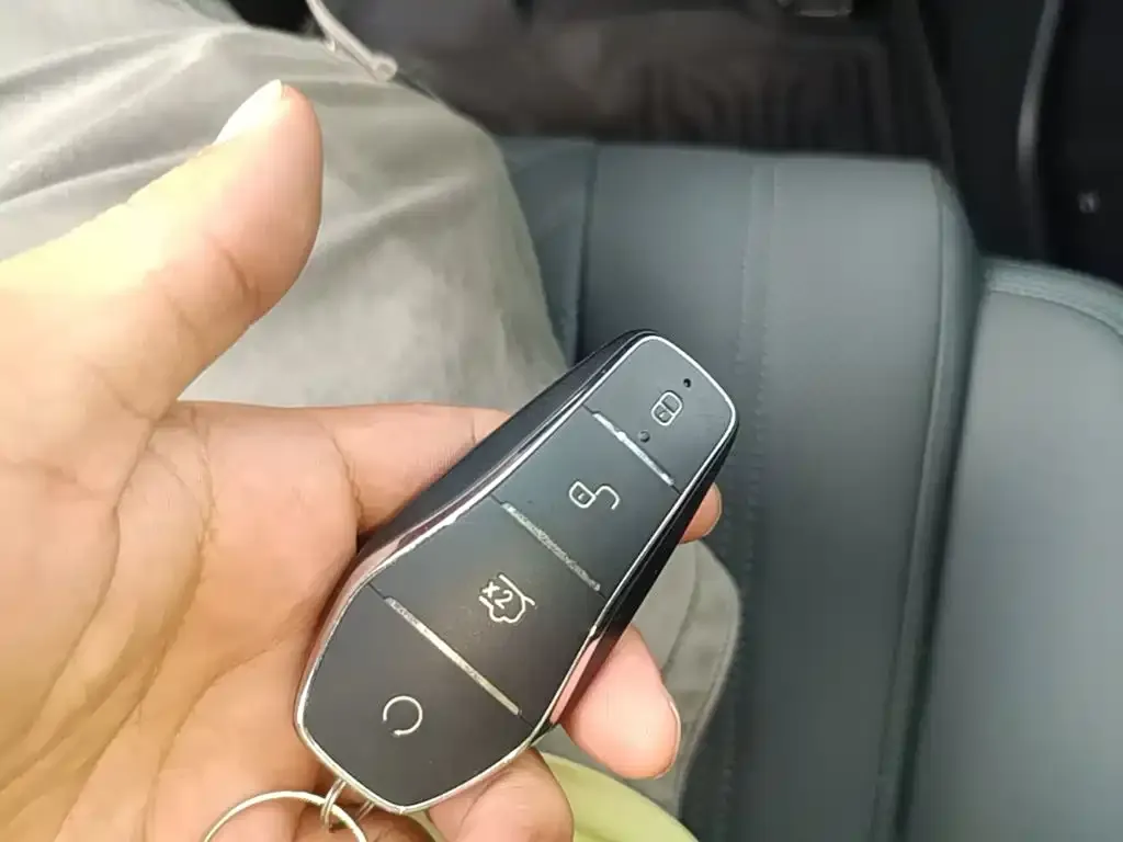 BYD L DM-i — фото 9