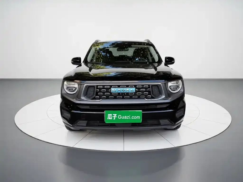 Haval Big Dog PLUS New Energy — фото 5
