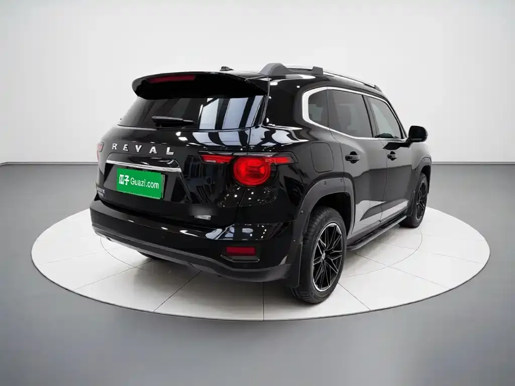 Haval Big Dog PLUS New Energy — фото 3