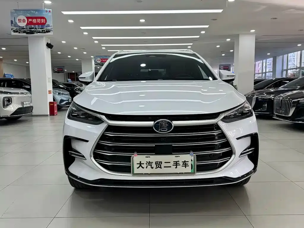 BYD Tang New Energy — фото 9