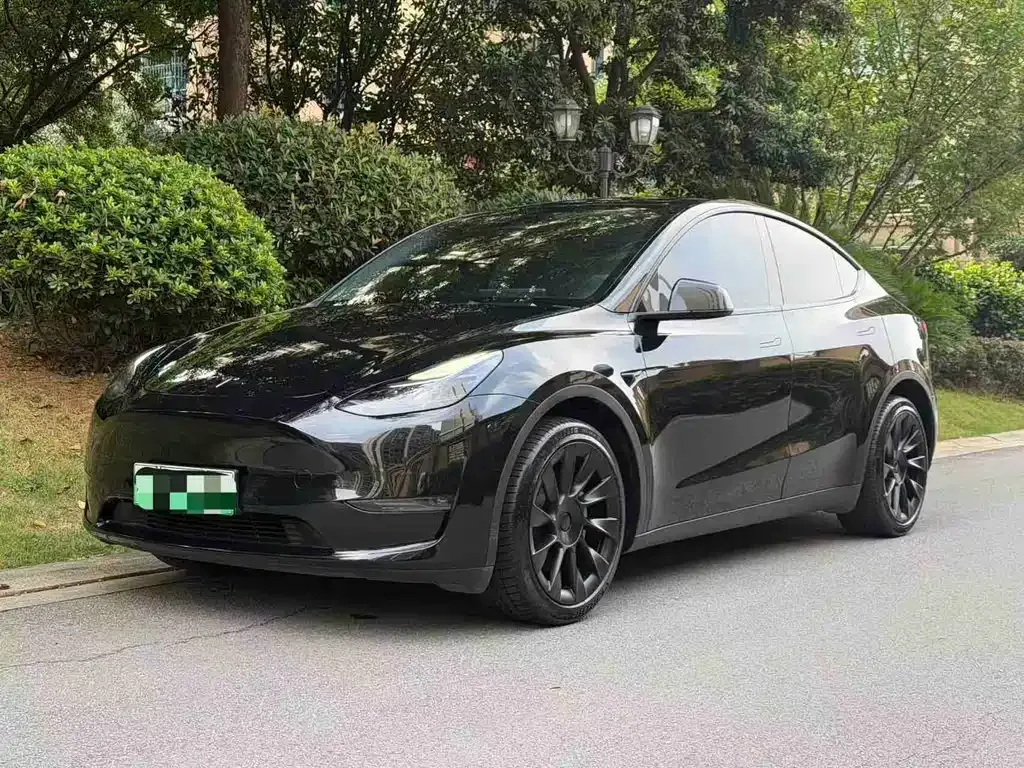 Tesla Model Y — фото 1