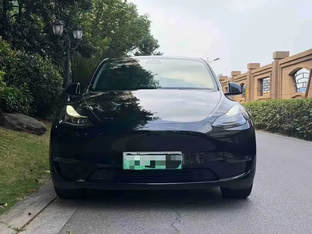 Tesla Model Y — фото 3