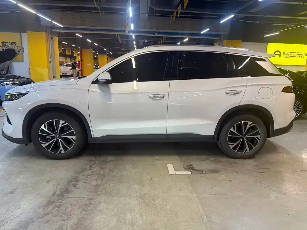 BYD Pro New Energy — фото 6