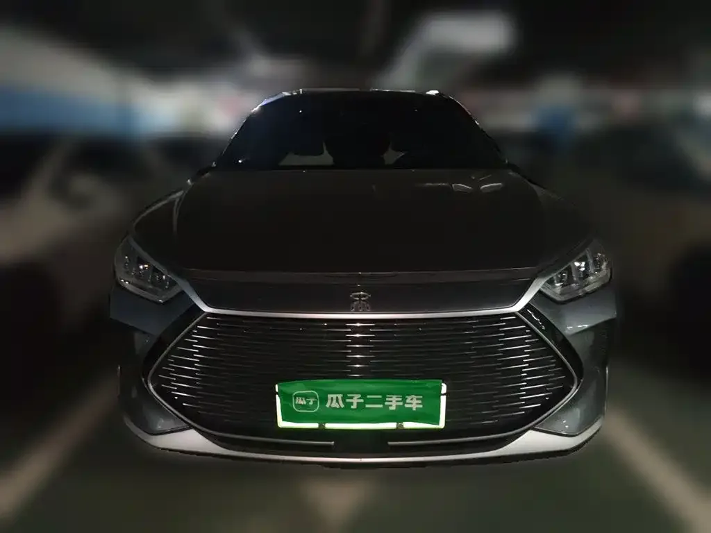 BYD PLUS New Energy — фото 6