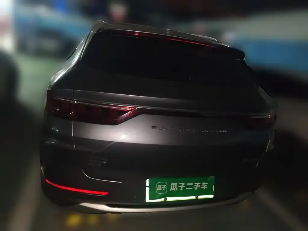 BYD PLUS New Energy — фото 3