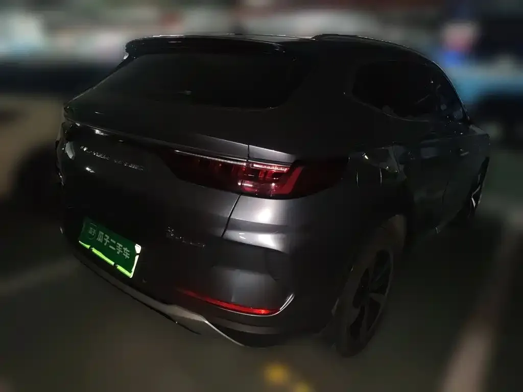 BYD PLUS New Energy — фото 4