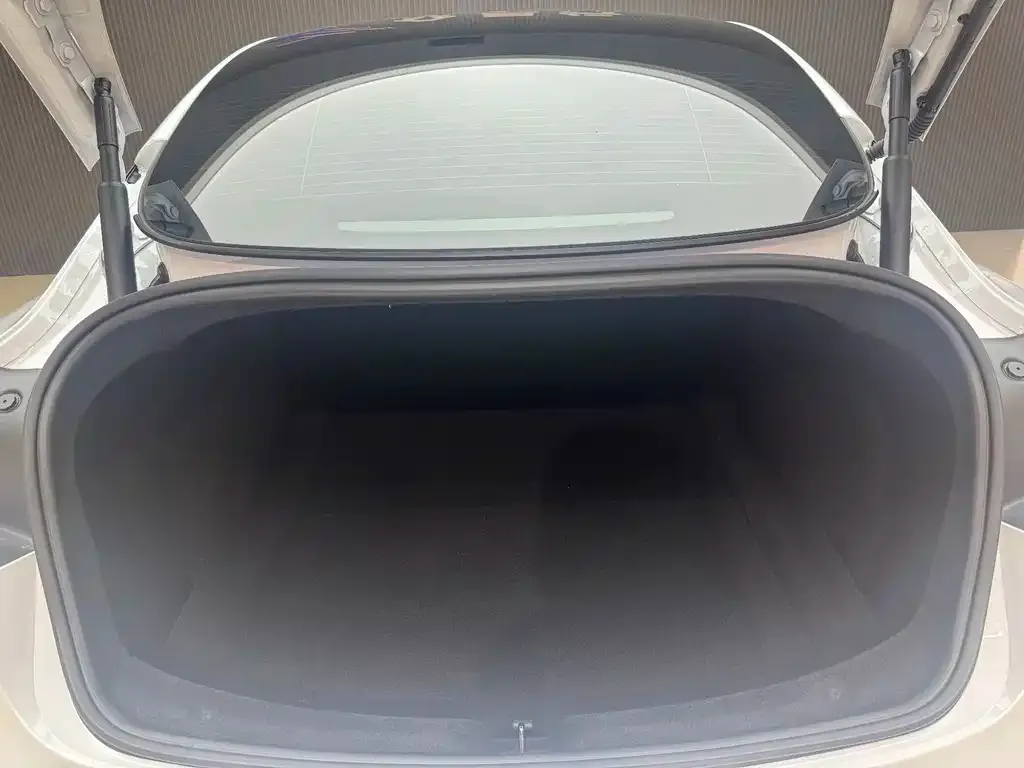Tesla Model 3 — фото 2