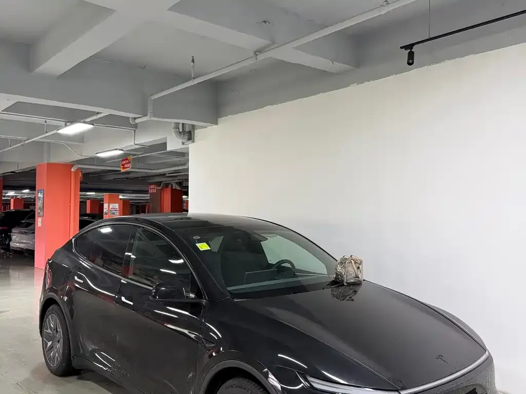 Tesla Model Y L — фото 3